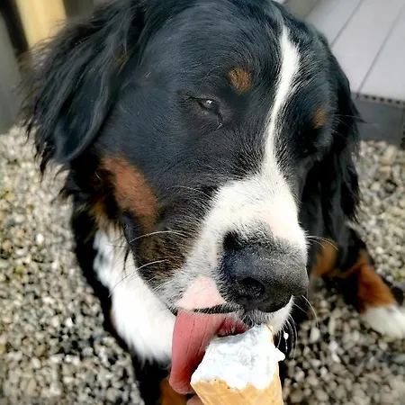 An Der Barlter Muehle Im Ersten Og Naehe Nordsee